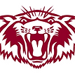 Plano West High School Football opponent logo